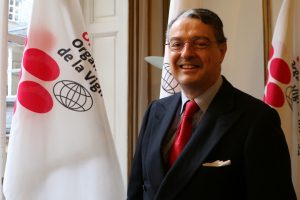 Vino, la pandemia come la crisi finanziaria del 2008/2009. Quando il recupero fu rapidissimo Vino, la pandemia come la crisi finanziaria del 2008/2009. Quando il recupero fu rapidissimo