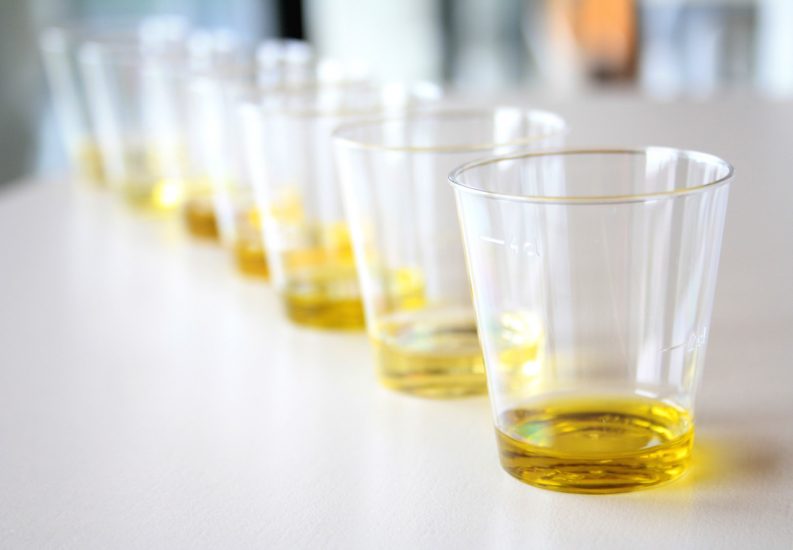 Guida agli Extravergini 2021 Slow Food: un anno difficile per l’olio, ma il settore è vivo