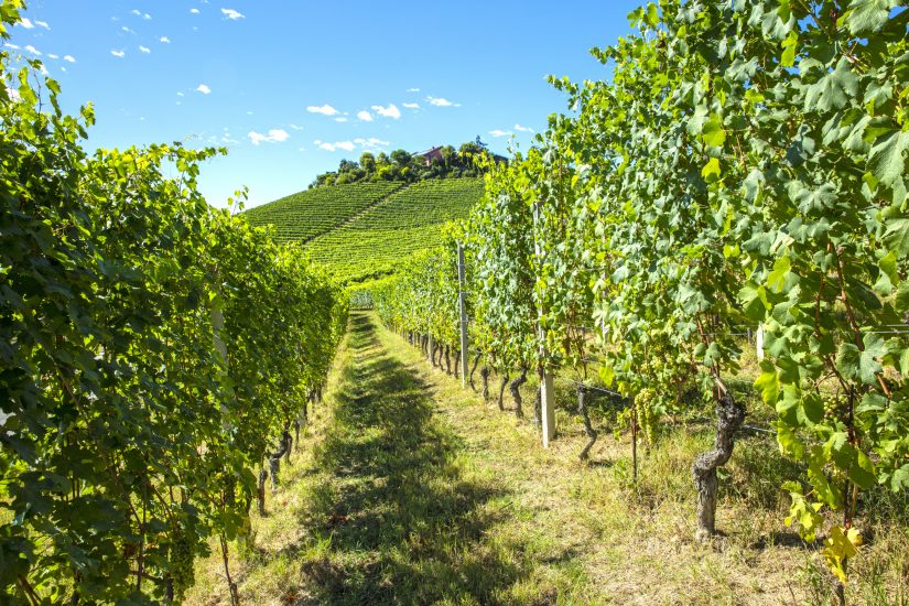 Il Bricco di Treiso di Pio Cesare