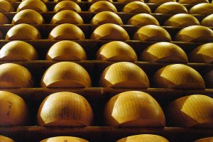 Il Parmigiano Reggiano è più forte della pandemia, cresce nel 2020 e guarda al futuro