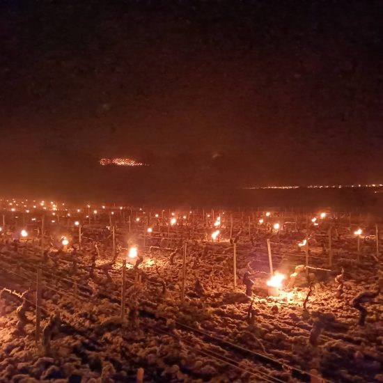 I vignaioli combattono il gelo in Borgogna
