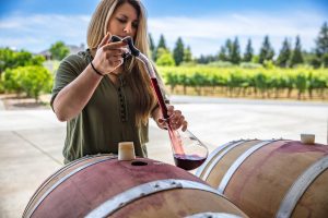 Un Apprendistato di Alta Formazione e Ricerca avvicina i giovani enotecnici al mondo del lavoro