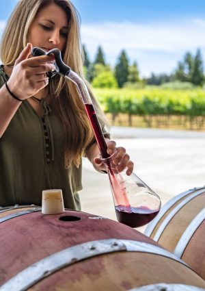 Gli stage destinati a professionisti del vino coinvolti in guerre: l&rsquo;iniziativa di Art&eacute;mis Domaines