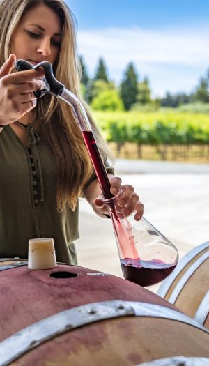 Gli stage destinati a professionisti del vino coinvolti in guerre: l&rsquo;iniziativa di Art&eacute;mis Domaines