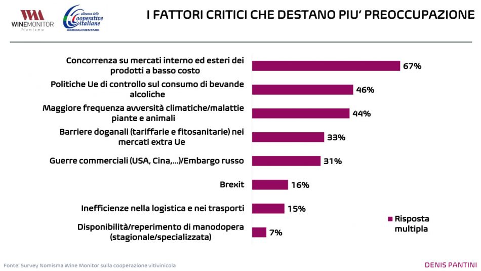 Vivite, la cooperazione del vino resiste alla pandemia, grazie ai suoi più grandi player
