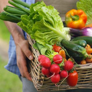 Prezzi agricoli Ue sotto pressione: crollano i ricavi (-5,8%), aumentano i costi produttivi (+4,7%)