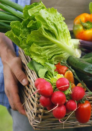 Prezzi agricoli Ue sotto pressione: crollano i ricavi (-5,8%), aumentano i costi produttivi (+4,7%)