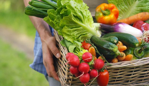 Prezzi agricoli Ue sotto pressione: crollano i ricavi (-5,8%), aumentano i costi produttivi (+4,7%)