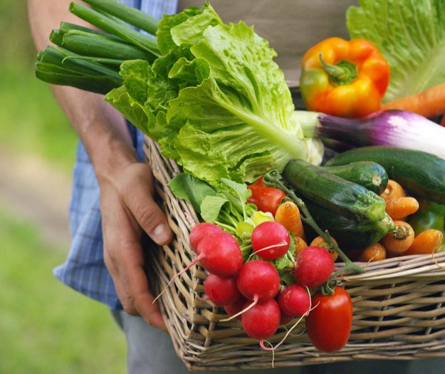 Prezzi agricoli Ue sotto pressione: crollano i ricavi (-5,8%), aumentano i costi produttivi (+4,7%)