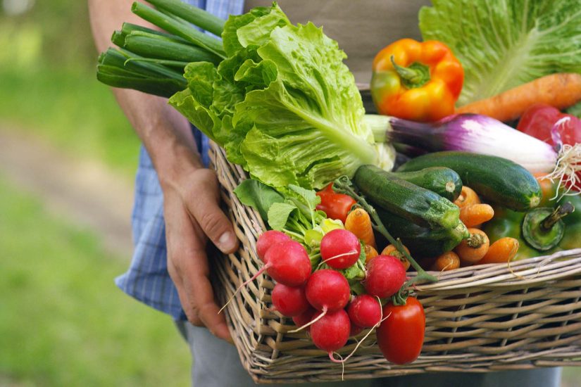 Cia: sempre più famiglie italiane fanno la spesa nei mercati degli agricoltori