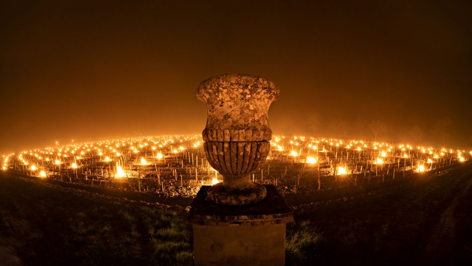 Le fiaccole tra i filari di Trinoro per difendersi dal gelo