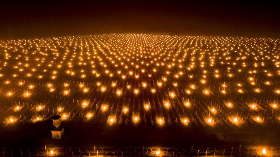 Le fiaccole tra i filari di Trinoro per difendersi dal gelo