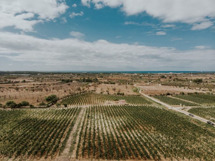 Tenuta Liliana, in Salento