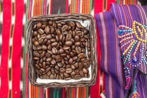 Carlo Petrini: “i semi devono essere considerati un bene comune, perché sono la nostra vita”