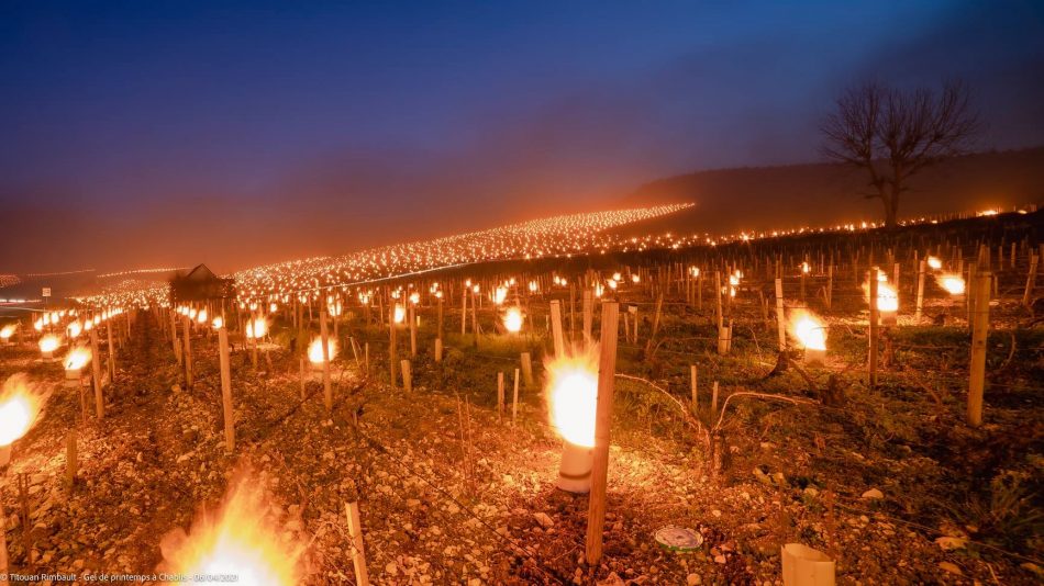 I vignaioli combattono il gelo in Borgogna