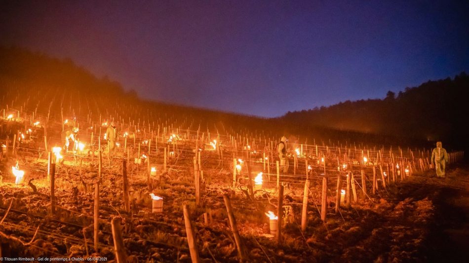 I vignaioli combattono il gelo in Borgogna