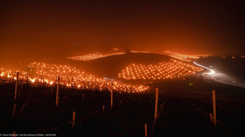 I vignaioli combattono il gelo in Borgogna