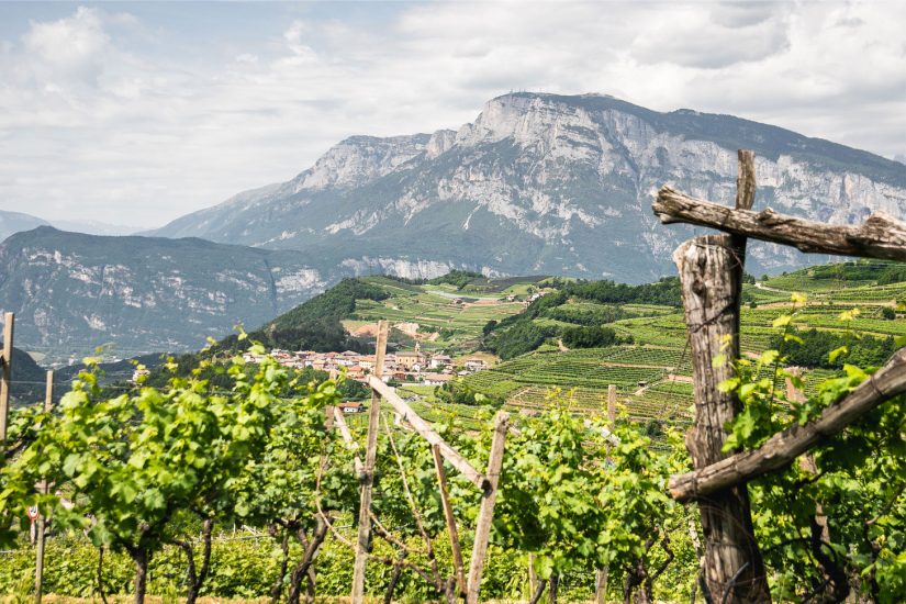 I vigneti di montagna del Trentodoc