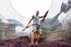 La vendemmia, la pigiatura, le botti del Porto: gli scatti più belli del 2020 del vino
