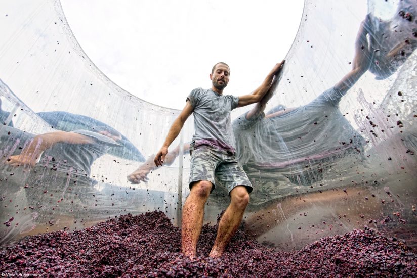 Le foto vincitrici degli “Errazuriz Wine Photographer of the Year” 2020