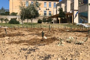 La tradizione enoica dell’Isola d’Elba rivive grazie ad un progetto che lega scuola e aziende