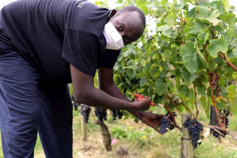 Zakaria. Dal Sudan a Chateau de Pedesclaux a Bordeaux Ph UNHCR Kate Thompson-Gorry