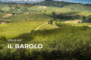 I Quaderni di WineNews - Il Barolo