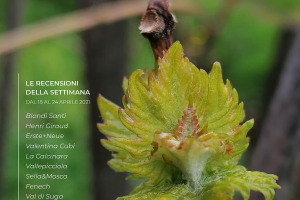 I Vini di WineNews - N. 150