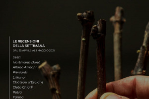 I Vini di WineNews - N. 151