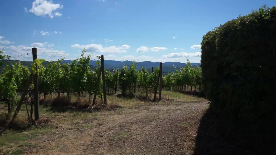 Il territorio del Chianti Classico