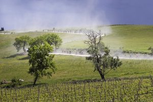Uno storytelling perfetto? La “Brunello Wine Stage”, la tappa del Giro dedicata all’enogastronomia