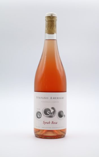 Vini rosati, i migliori d’Italia secondo “50 Top Italy Rosé”