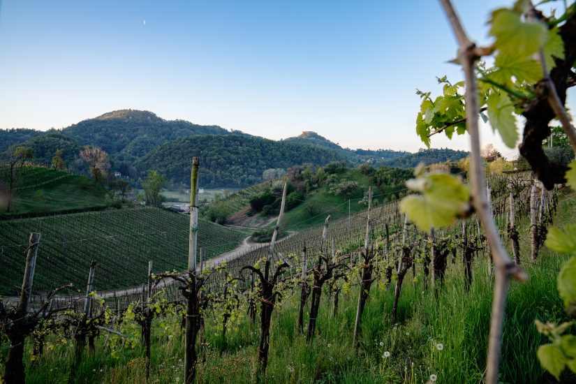 L Asolo Prosecco al fianco dei ristoratori con una campagna di