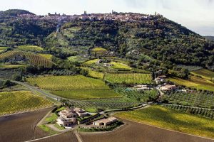Napa e Montalcino, dal Dipartimento Affari Regionali arriva l’autorizzazione al gemellaggio