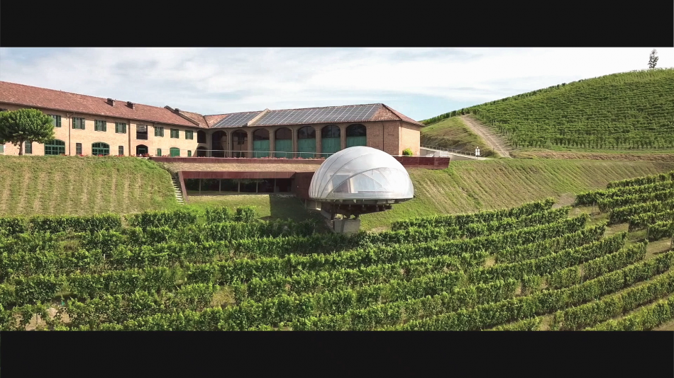 I vigneti di Ceretto con l’Acino