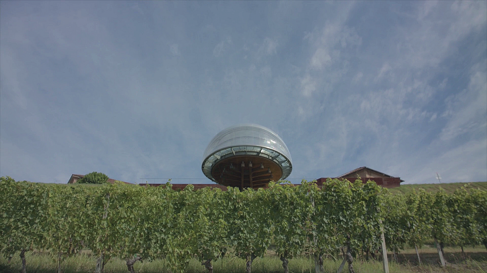 I vigneti di Ceretto con l’Acino