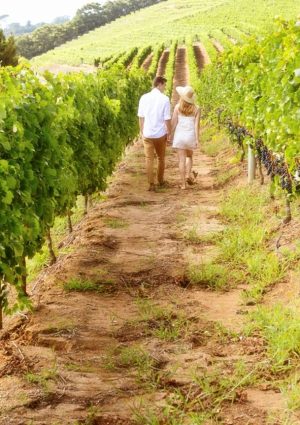 Accessibilit&agrave;, visibilit&agrave; digitale e sinergie: ecco come l&rsquo;enoturismo italiano pu&ograve; crescere ancora