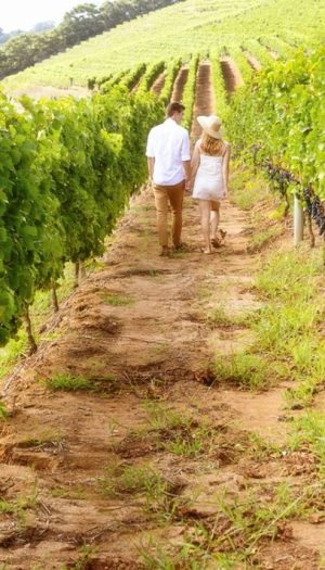 Accessibilit&agrave;, visibilit&agrave; digitale e sinergie: ecco come l&rsquo;enoturismo italiano pu&ograve; crescere ancora