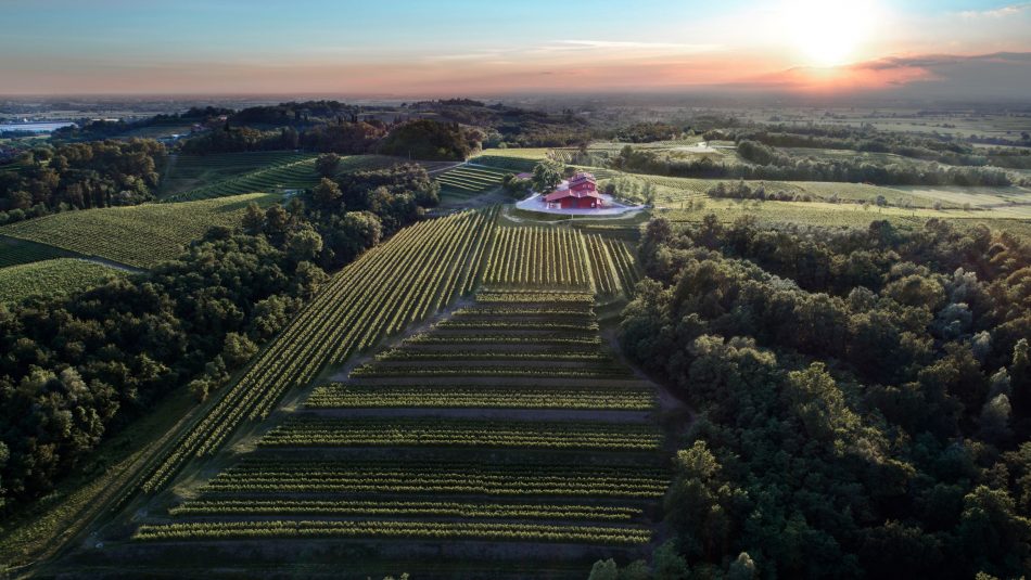 I vigneti in Friuli di Fantin Nodar