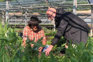 Tra agricoltura, cucina vegetale e comunicazione: nasce il progetto “Food Ars”