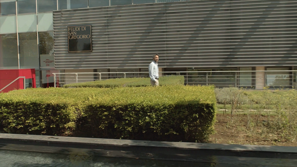 Antonio Capaldo a Feudi di San Gregorio