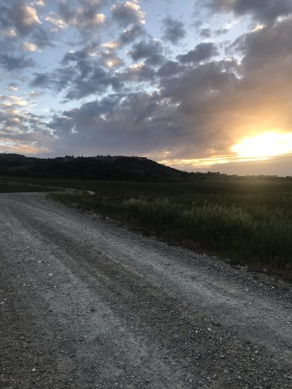 Le strade bianche di Montalcino
