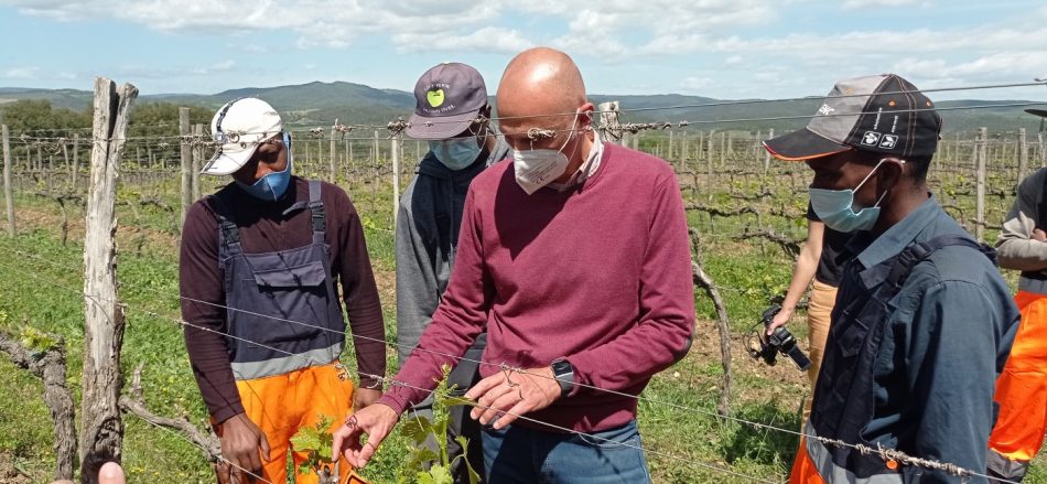 Tra i filari del Brunello di Tenute Silvio Nardi, rifugiati e richiedenti asilo nel progetto Icare
