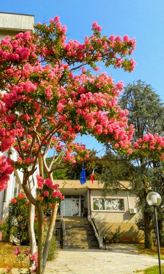 L’Istituto Alberghiero Sonzogni di Nembro