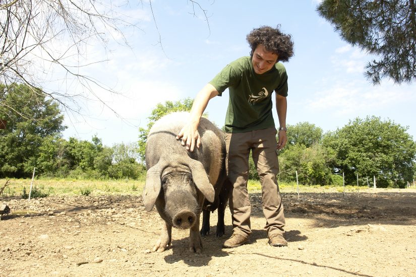 Jacopo Goracci e la Cinta Senese della Tenuta Paganico