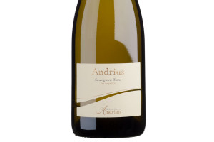 Kellerei Andrian, Doc Alto Adige Sauvignon Blanc Andrius 2019