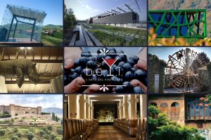 Il grande vino e le sue “cattedrali” su Sky Arte: ecco “B.E.V.I. - L’Arte del Vinificare”