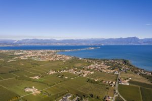 Segnali di ripresa: nel Lugana crescono imbottigliamenti e valori, e si sblocca lo stoccaggio Segnali di ripresa: nel Lugana crescono imbottigliamenti e valori, e si sblocca lo stoccaggio