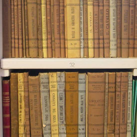 Musei del vino: quello di Ricci Curbastro entra in “Museimpresa”