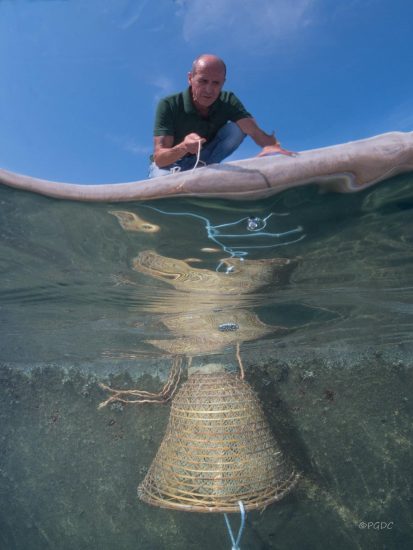 Le nasse calate in acqua con le uve del Nesos